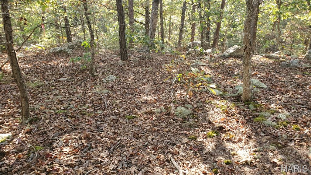 00 County Road 6030 Property Photo 34