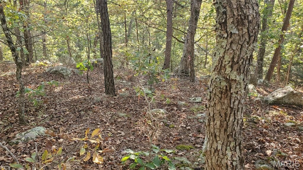 00 County Road 6030 Property Photo 35