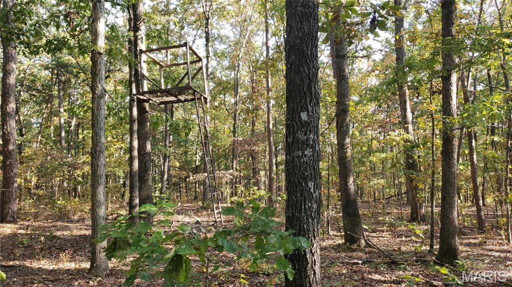 00 County Road 6030 Property Photo 37