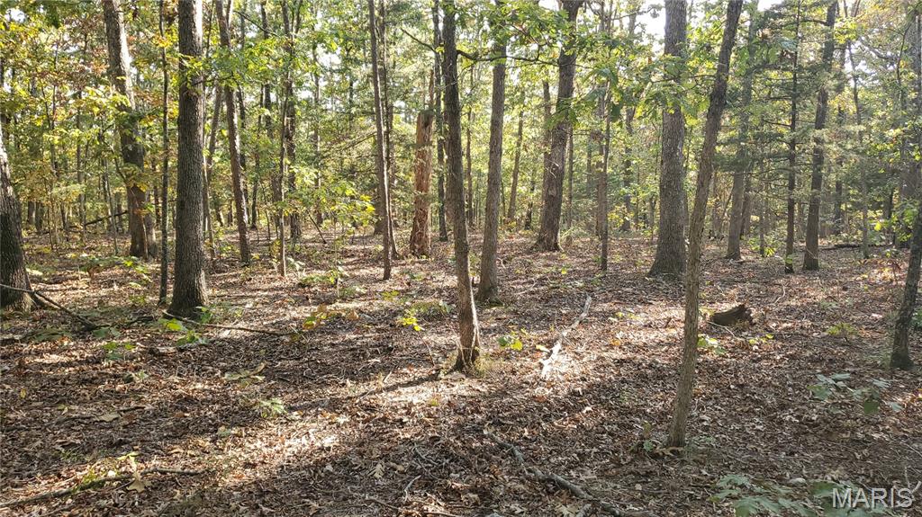 00 County Road 6030 Property Photo 38