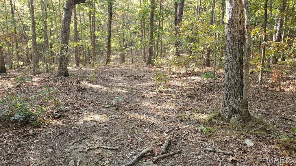00 County Road 6030 Property Photo 39