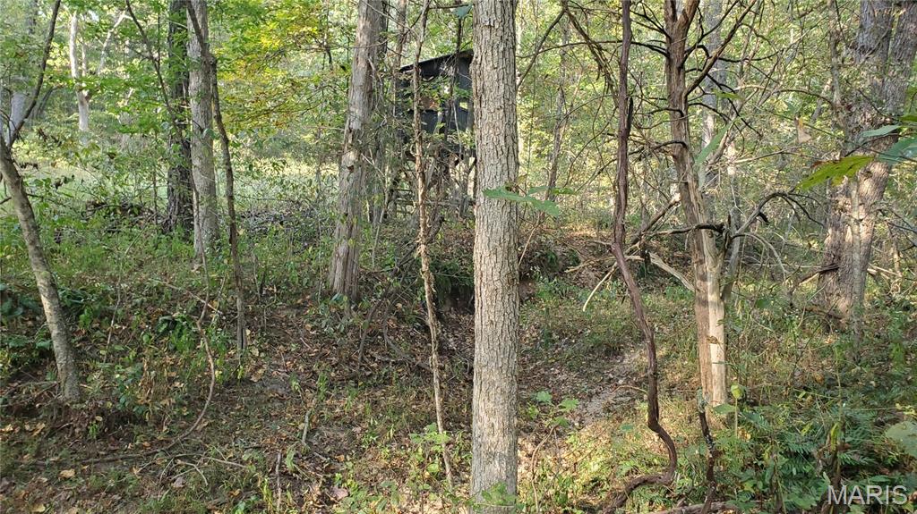 00 County Road 6030 Property Photo 42