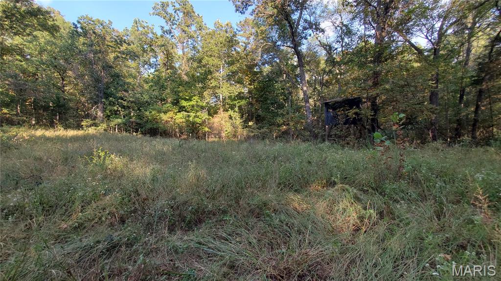 00 County Road 6030 Property Photo 44