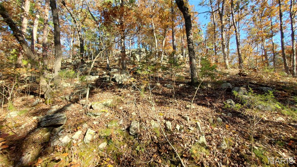 00 County Road 6030 Property Photo 46