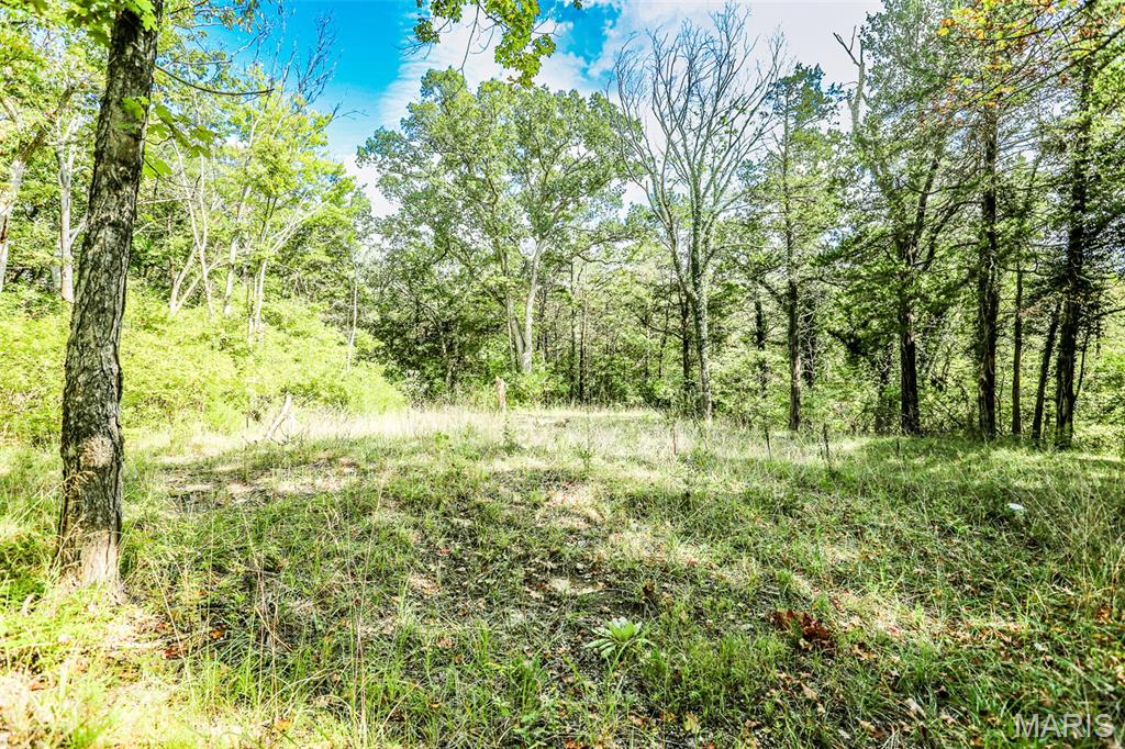 6302 Upper Byrnes Mill Property Photo 1