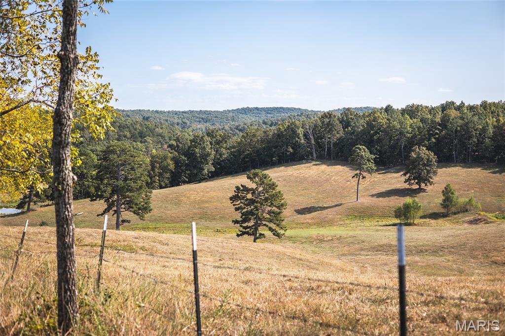 15406 State Route H Property Photo 43