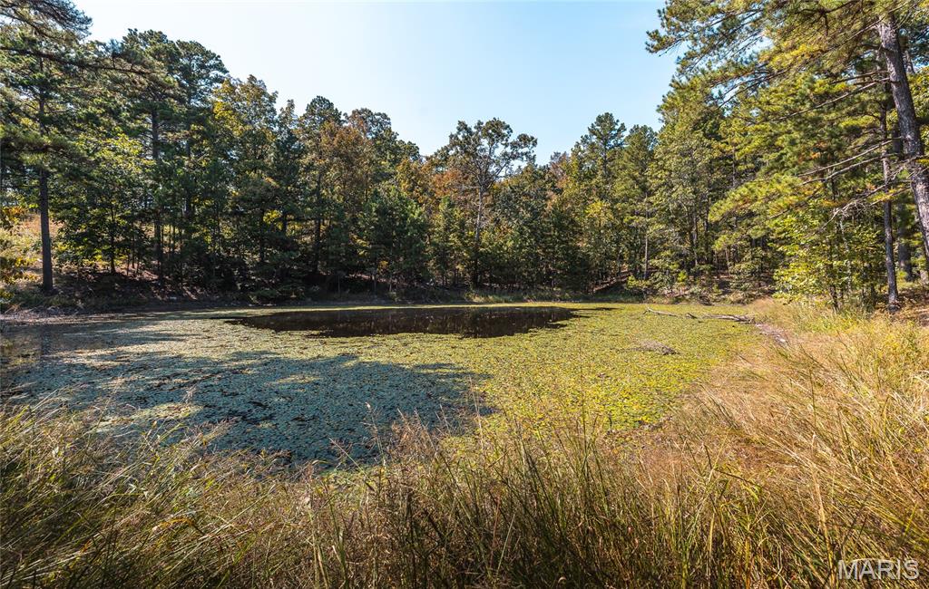 15406 State Route H Property Photo 47