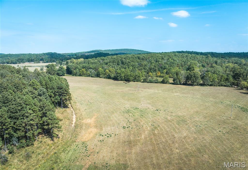 15406 State Route H Property Photo 50