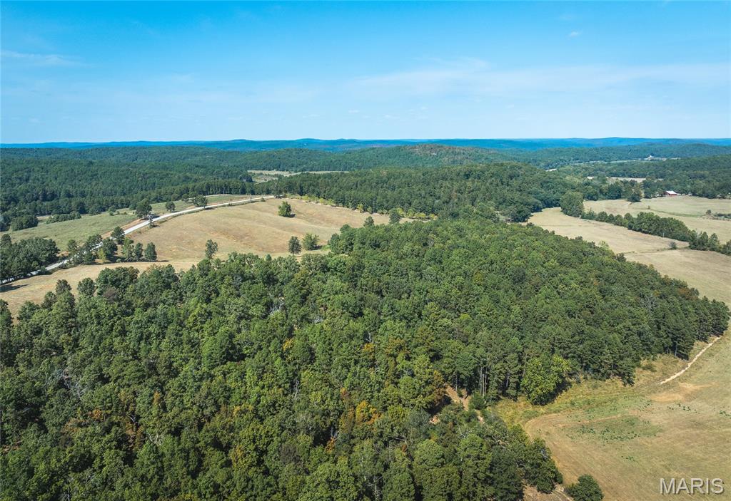 15406 State Route H Property Photo 54