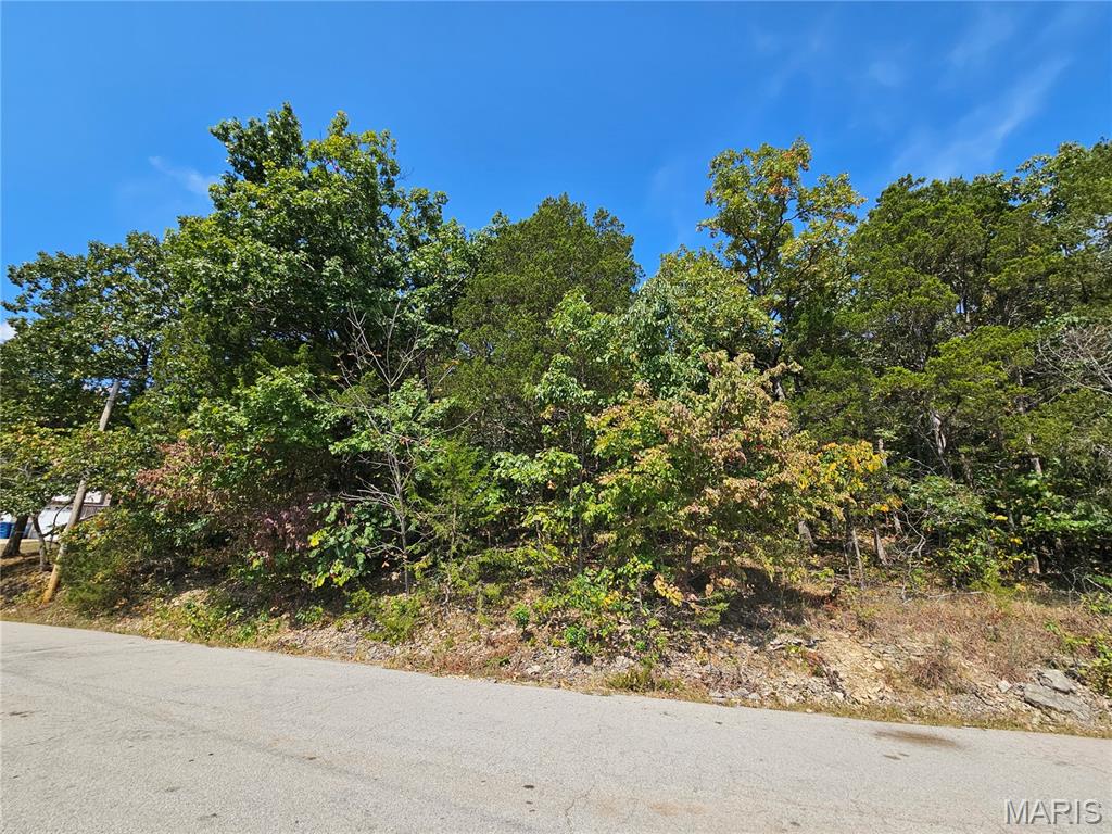 10129 Lake Ridge Drive Property Photo 1