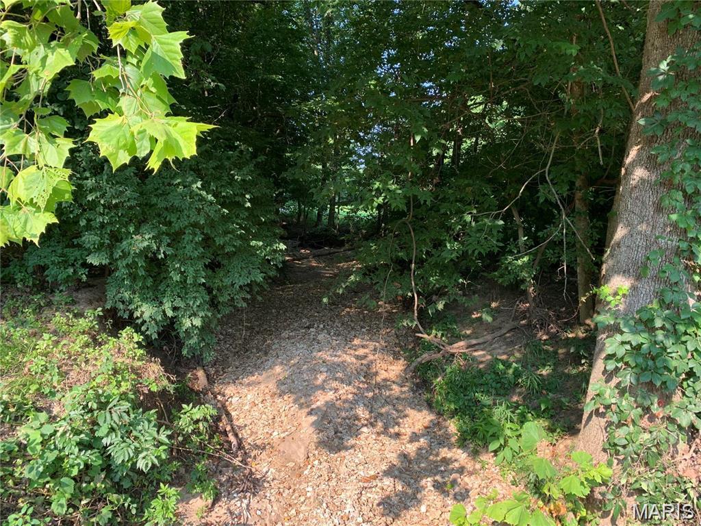 0 Staghorn Lane Property Photo 2