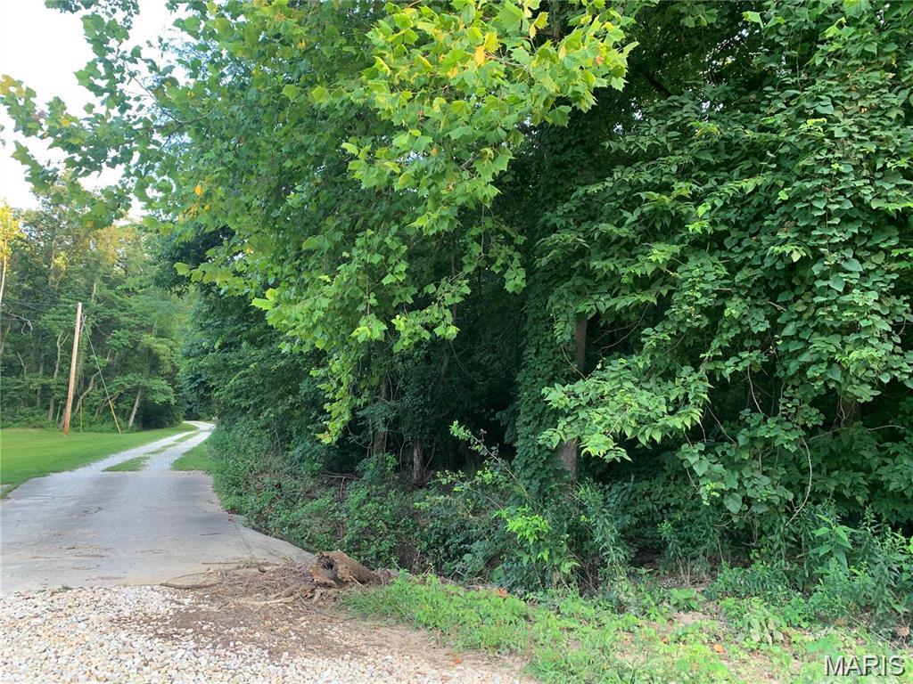 0 Staghorn Lane Property Photo 3