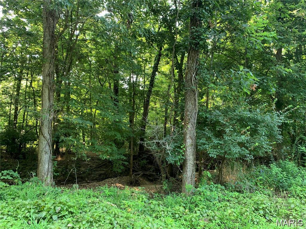 0 Staghorn Lane Property Photo 4