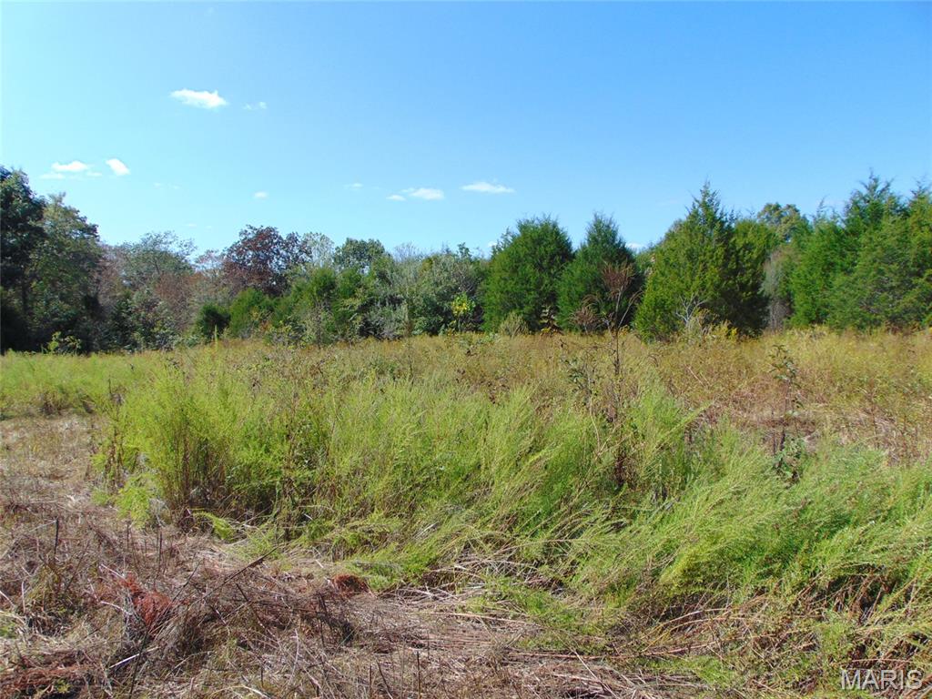 47 Wilkins Road Property Photo 1