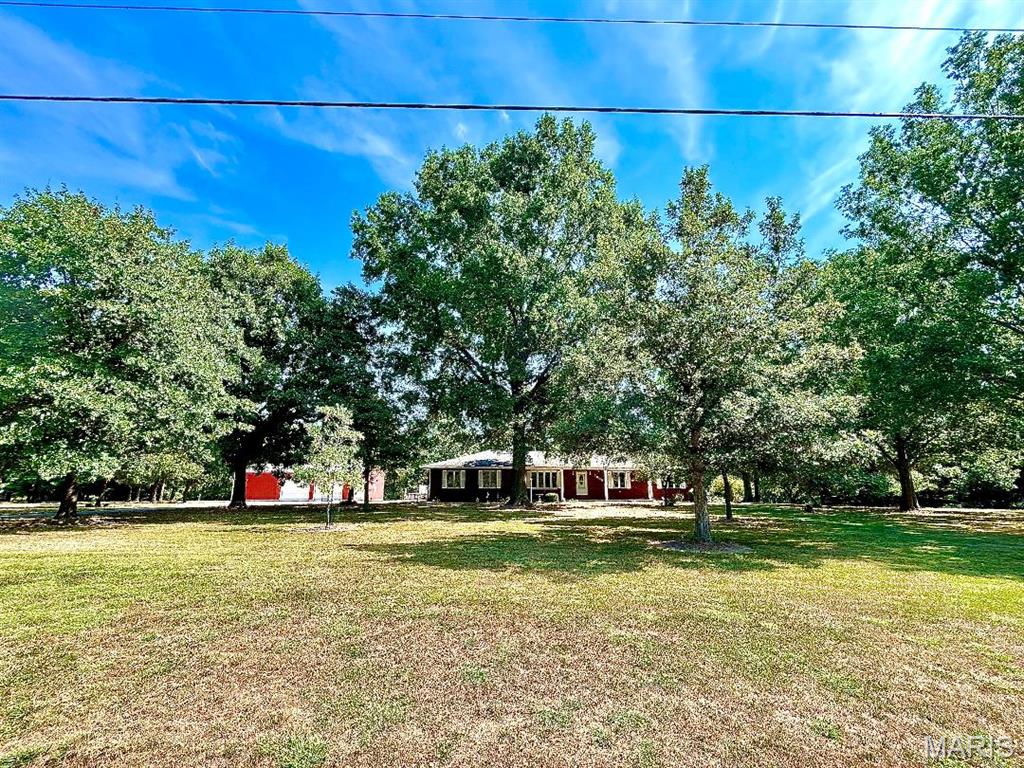 7005 Ivy Lane Property Photo 1