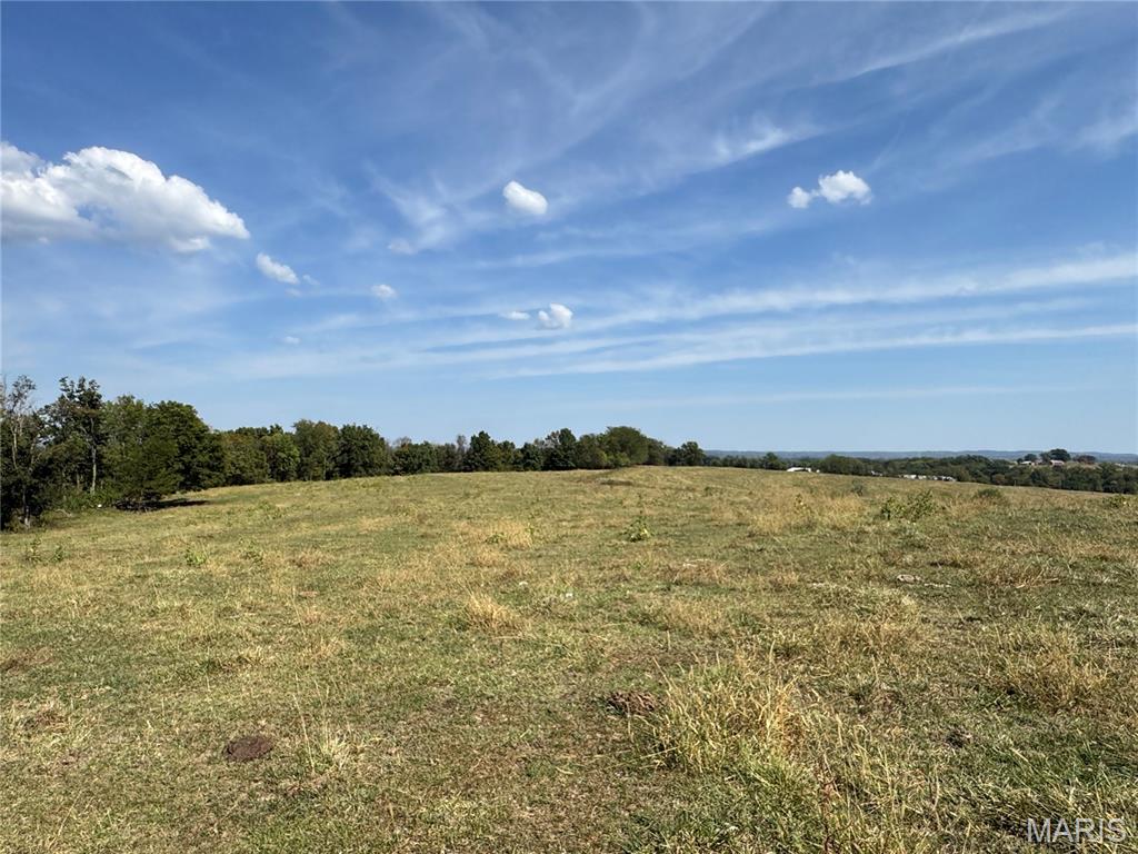 399 Brinker Trail Property Photo 16