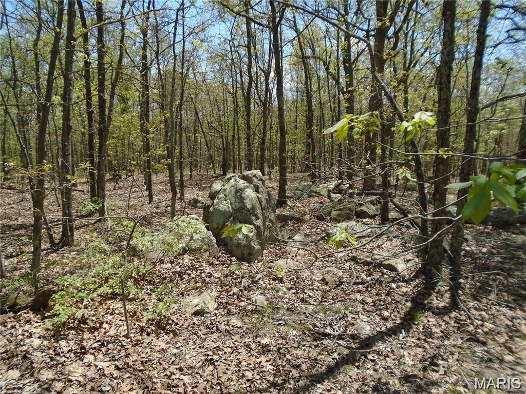 0 Whitetail Glen Trail Property Photo 1