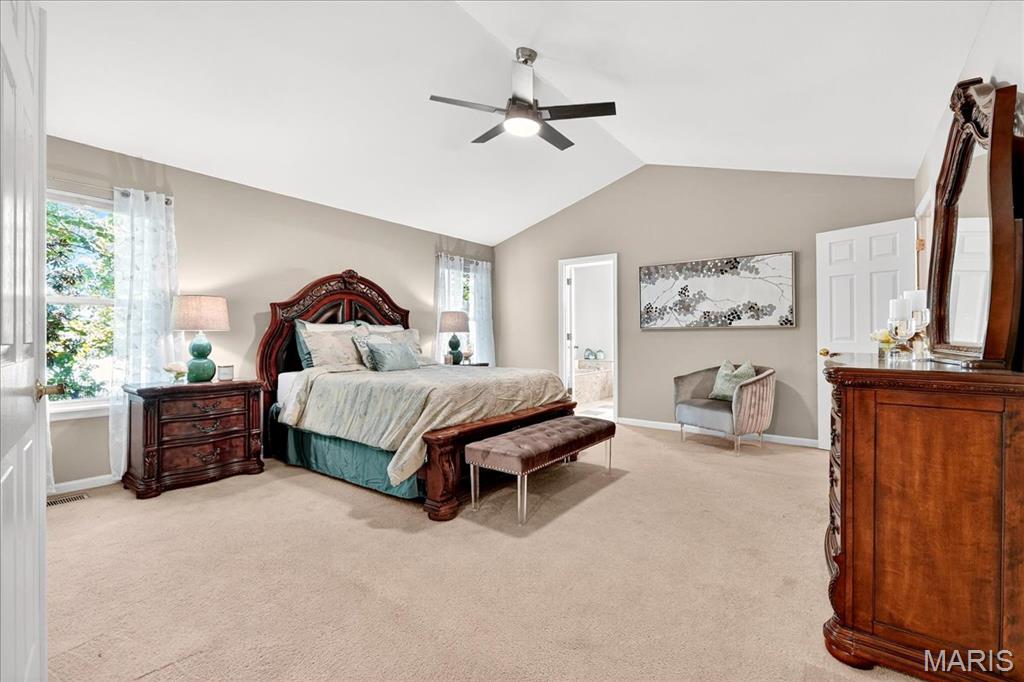 31 Lace Bark Court Property Photo 25