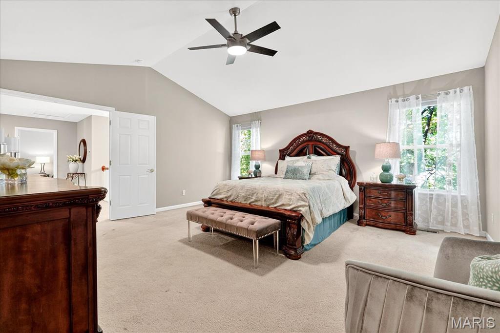 31 Lace Bark Court Property Photo 26