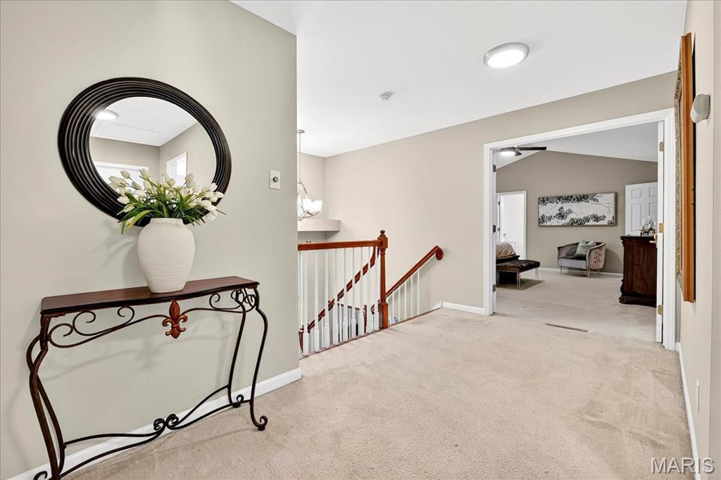 31 Lace Bark Court Property Photo 29