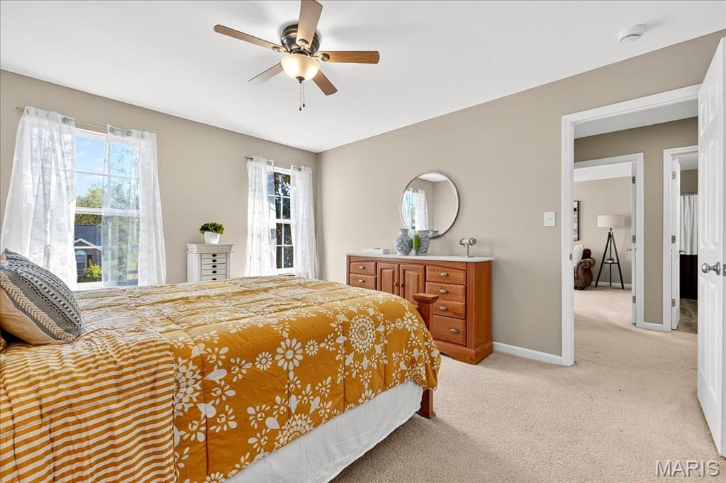 31 Lace Bark Court Property Photo 31