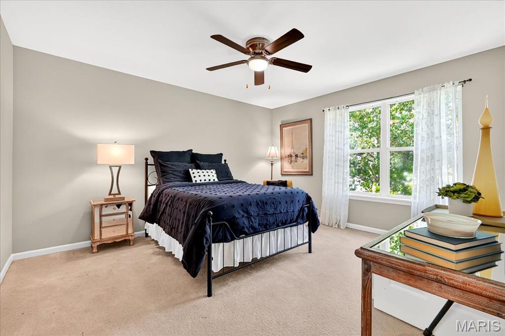 31 Lace Bark Court Property Photo 33