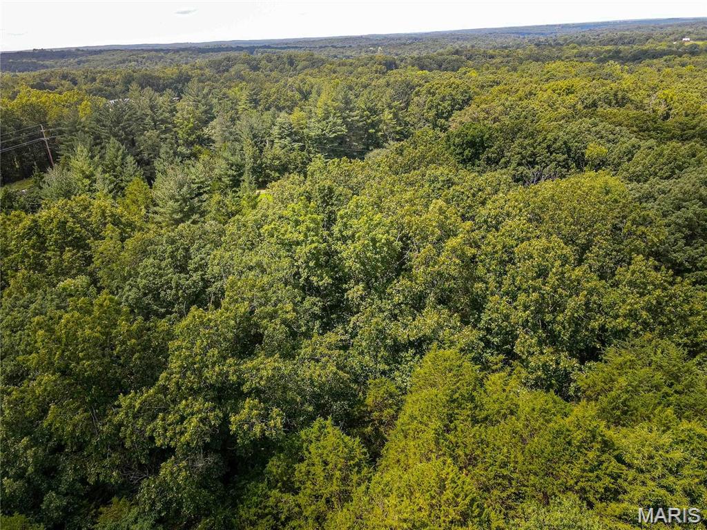 1811 Hendricks Road Property Photo 1