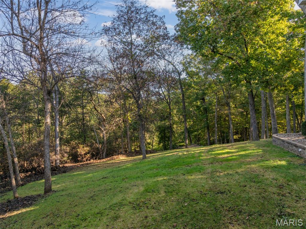 100 Silex Elevator Road Property Photo 43