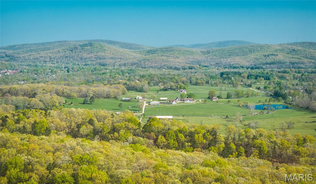 260 Kentucky Derby Lane Property Photo 9