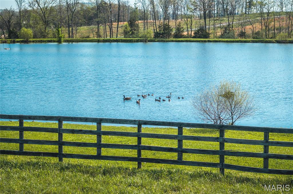 260 Kentucky Derby Lane Property Photo 20