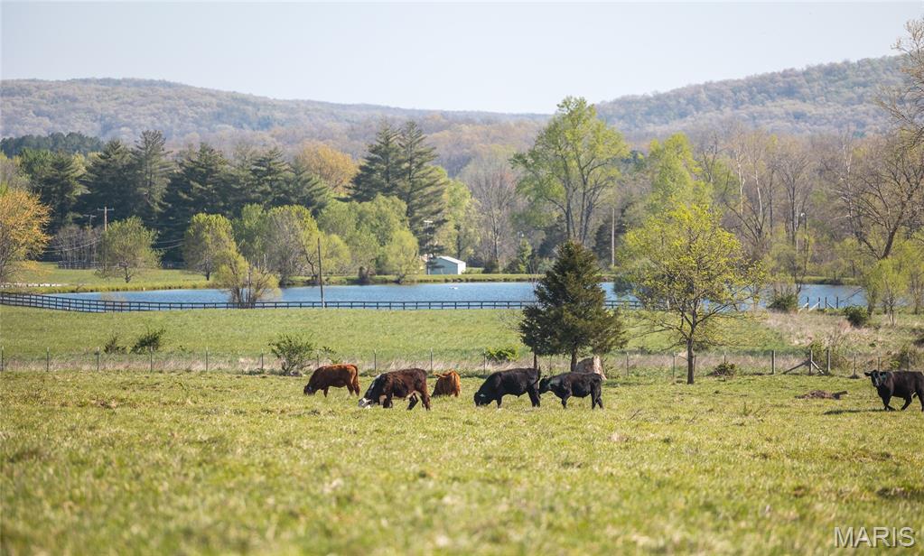 260 Kentucky Derby Lane Property Photo 39