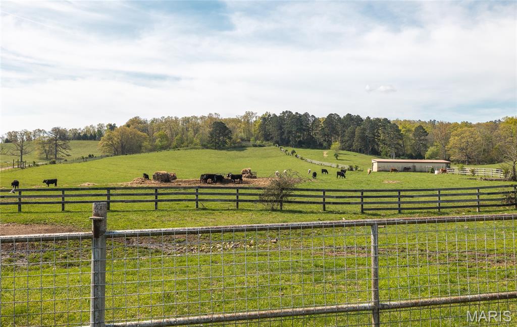260 Kentucky Derby Lane Property Photo 51