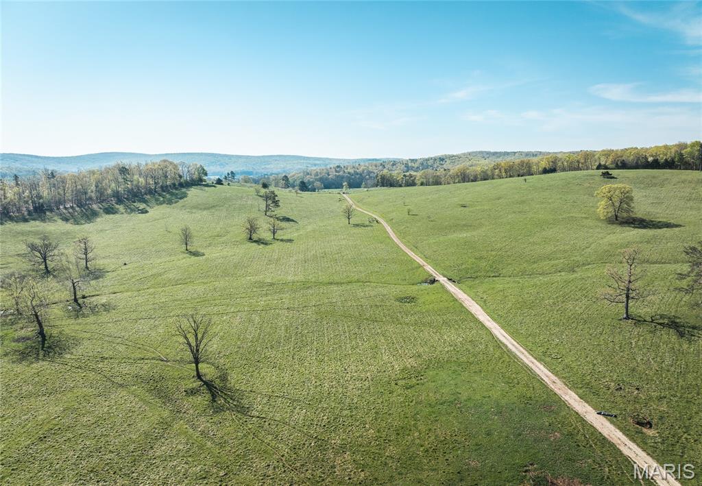 260 Kentucky Derby Lane Property Photo 59