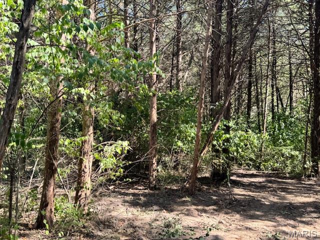 113 Elizabeth Court Property Photo 1