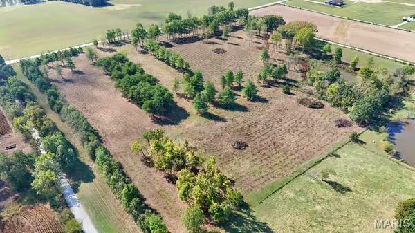 18181 Hickory Lick Road Property Photo 3