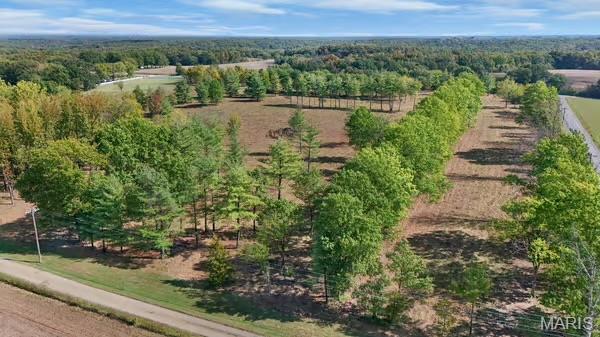 18181 Hickory Lick Road Property Photo 6