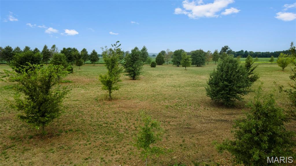 Lot 2 County Highway 401 Property Photo 12