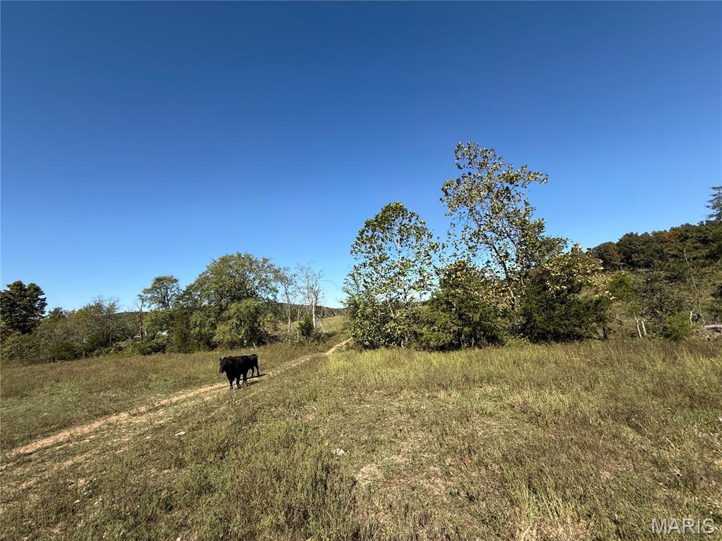 0 Cr 157 Property Photo 19
