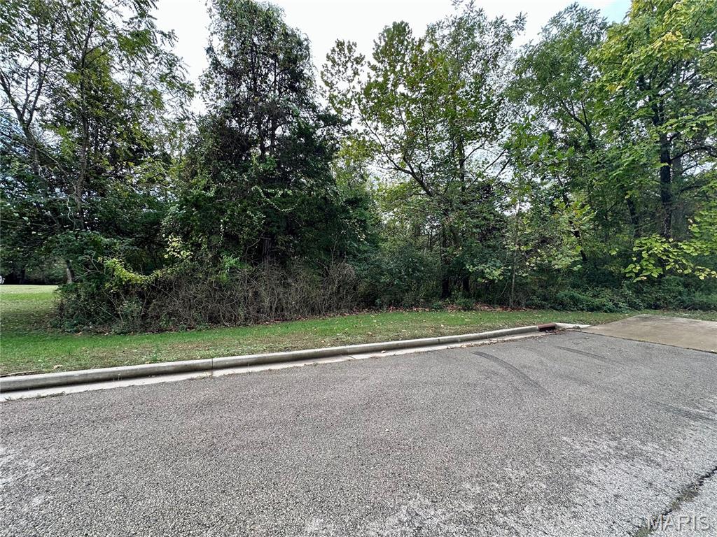 Tbd Shady Lane Property Photo 1