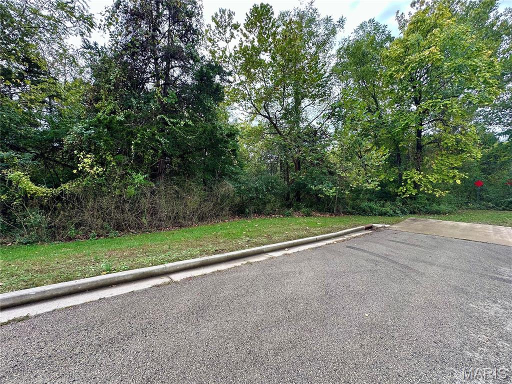 Tbd Shady Lane Property Photo 2