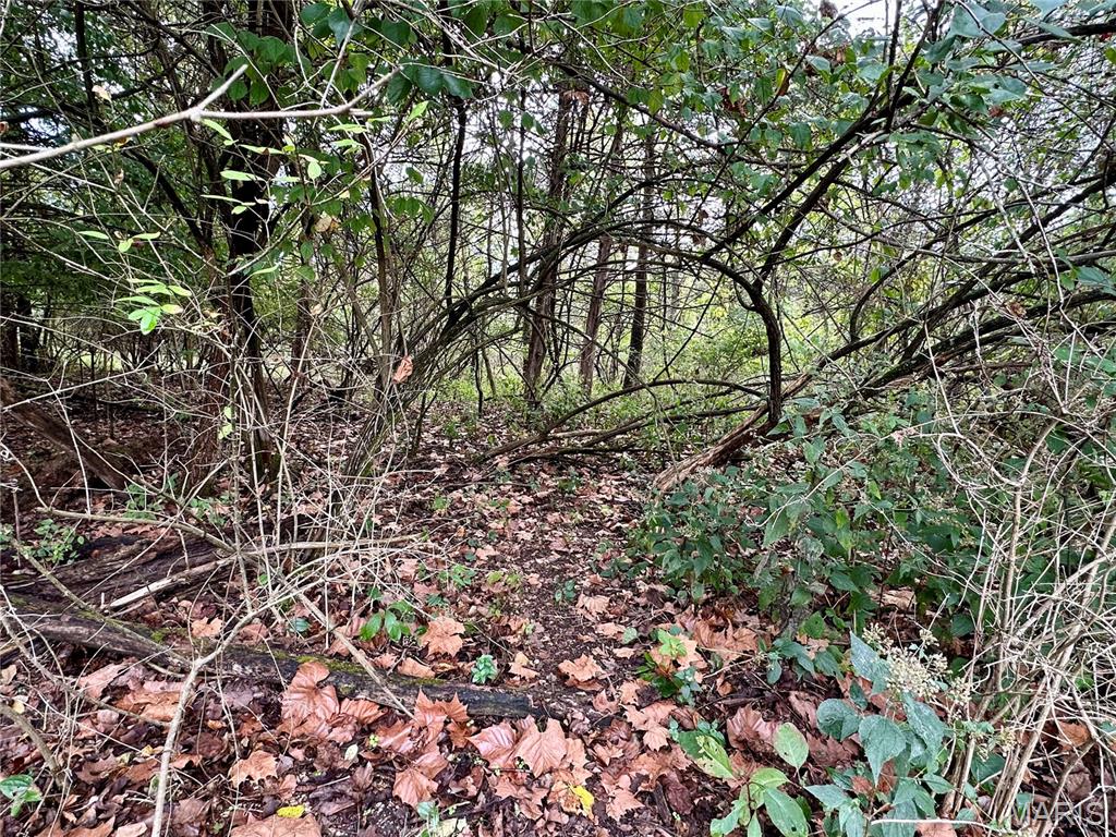Tbd Shady Lane Property Photo 4