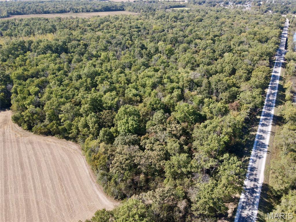 00 State Rte 161 Property Photo 1