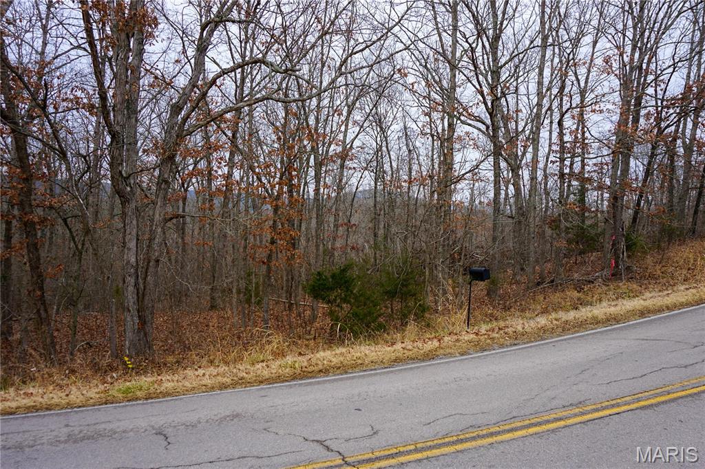 Tract B State Route Y Property Photo 1