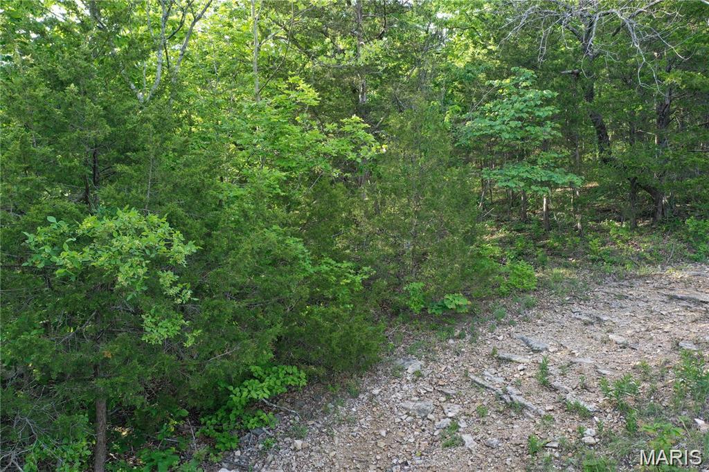 7664 Vista Drive Property Photo 3