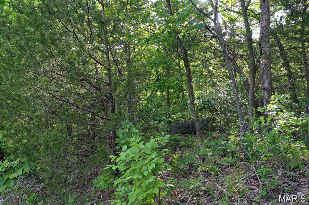 7664 Vista Drive Property Photo 4