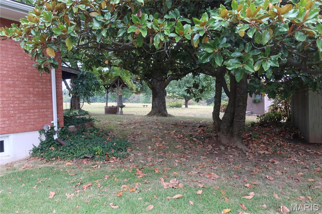 7860 Old State Route 21 Property Photo 25