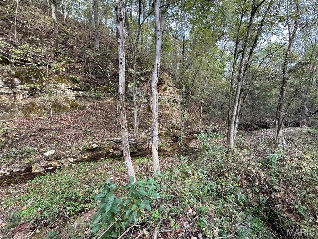 Long Spring Long Spring Road Property Photo 10