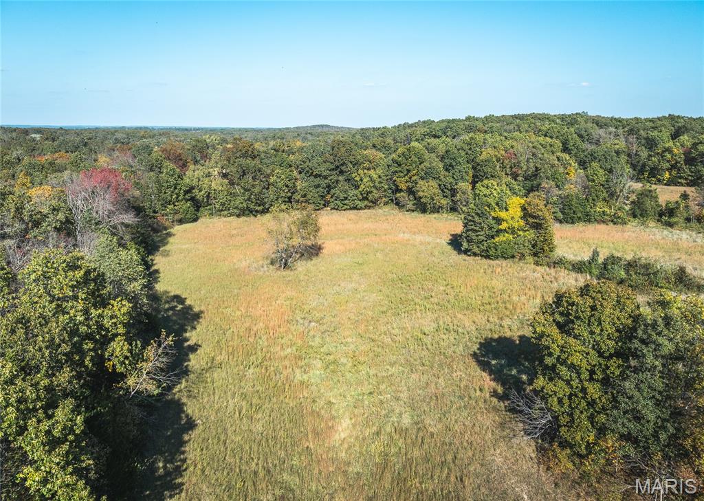 98 Turkey Ridge Lane Property Photo 49