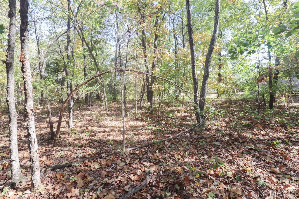 105 Oakdale Circle Property Photo 51