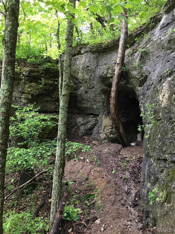84 +/- Ac Buechele Road Property Photo 1